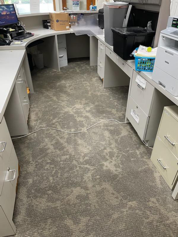 steam cleaned office carpet